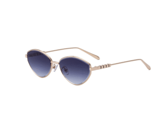 2025 Spring Women's Casual Cat-Eye Sunglasses