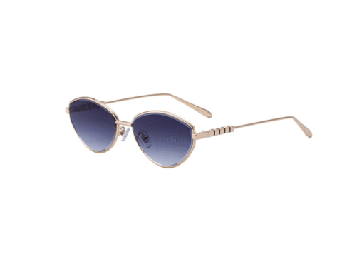 2025 Spring Women's Casual Cat-Eye Sunglasses